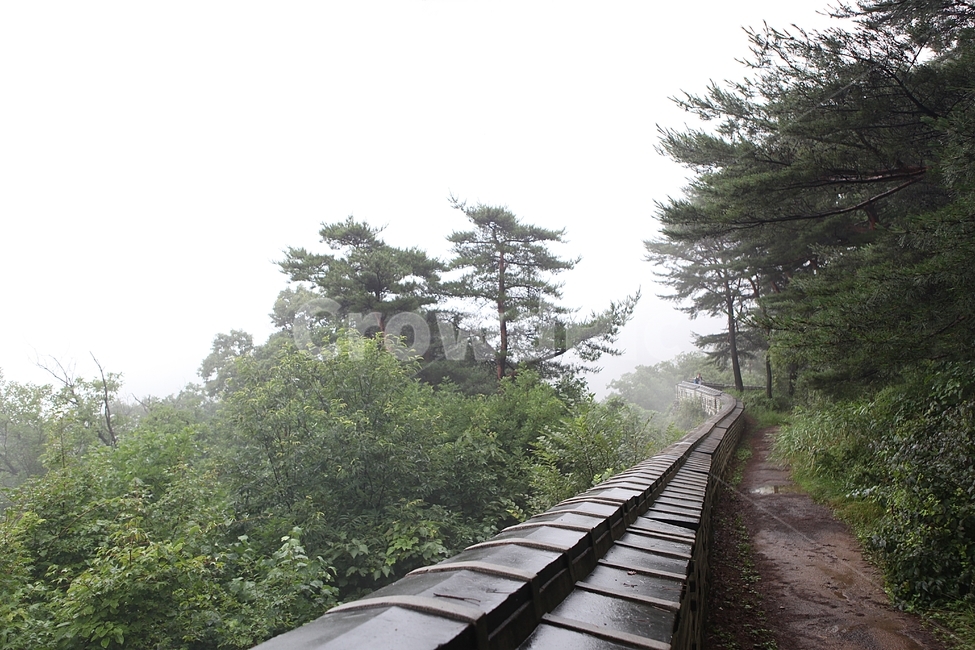 남한산성,성,성곽,길,둘레길,숲,숲길,안개,돌담,담,벽,여름,풍경