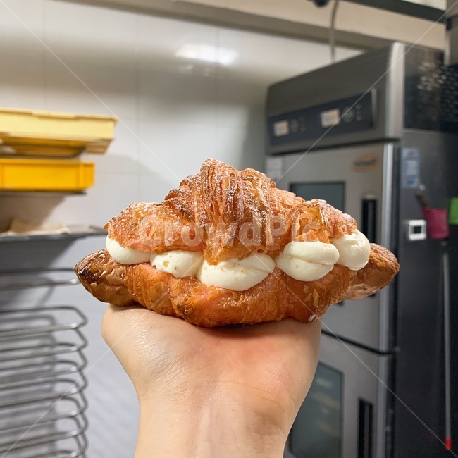 크로와상,크루아상,크림치즈크로와상,크림치즈크루아상,크림치즈,빵,패스츄리,페이스트리,음식,식재료,요리,food,cook,meal,dishes,food reserves,빵,bread