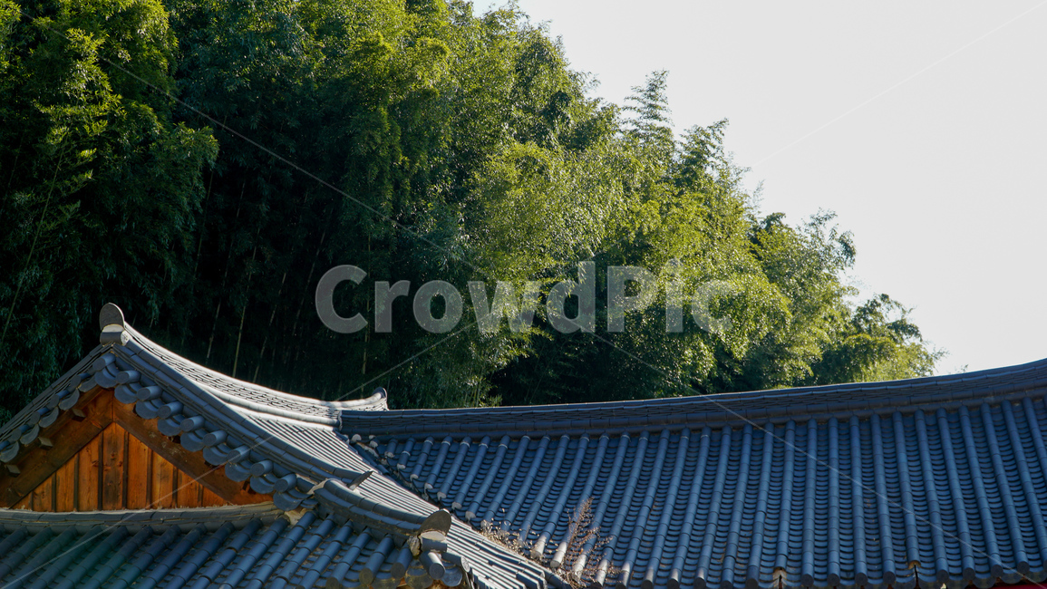 기와집,tilehouse,청기와,지붕,roof