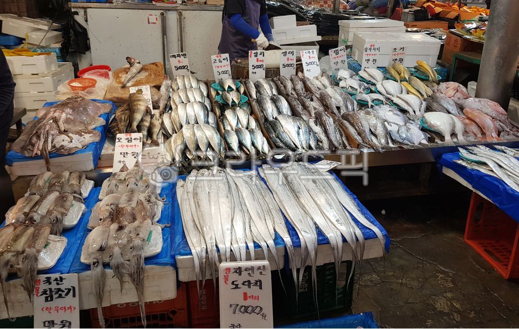 market,시장,생선,생선가게,재래시장,오징어,갈치,고등어