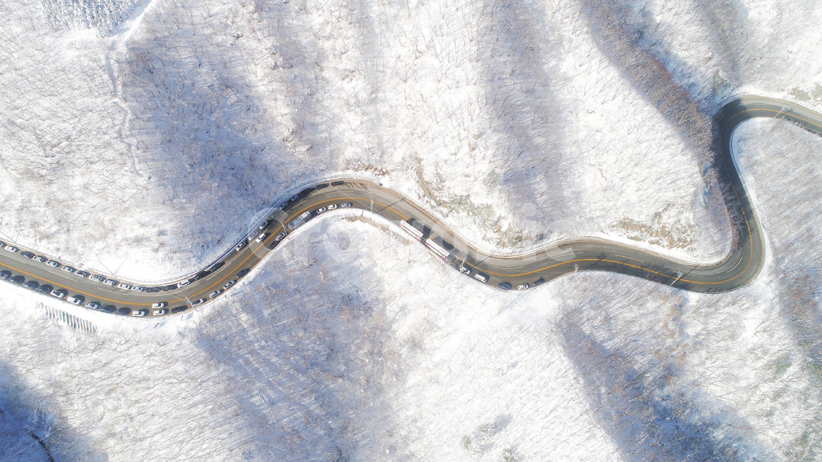 대관령,겨울,눈,드론,도로,설경,강원도,겨울,계절,winter,season