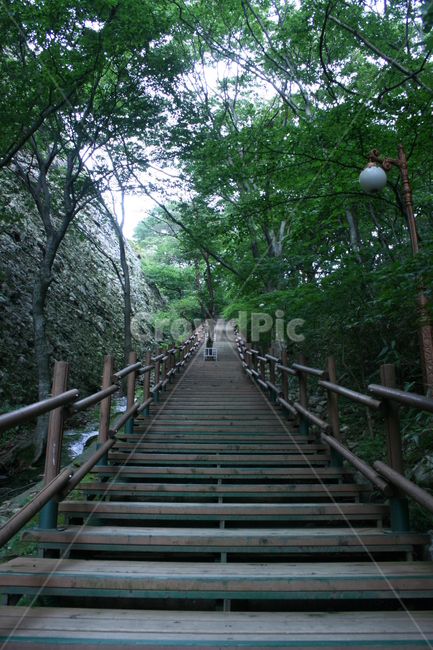 outdoors,옥외,garden,정원,arbour,계단,자연,풍경,nature,landscape,정자