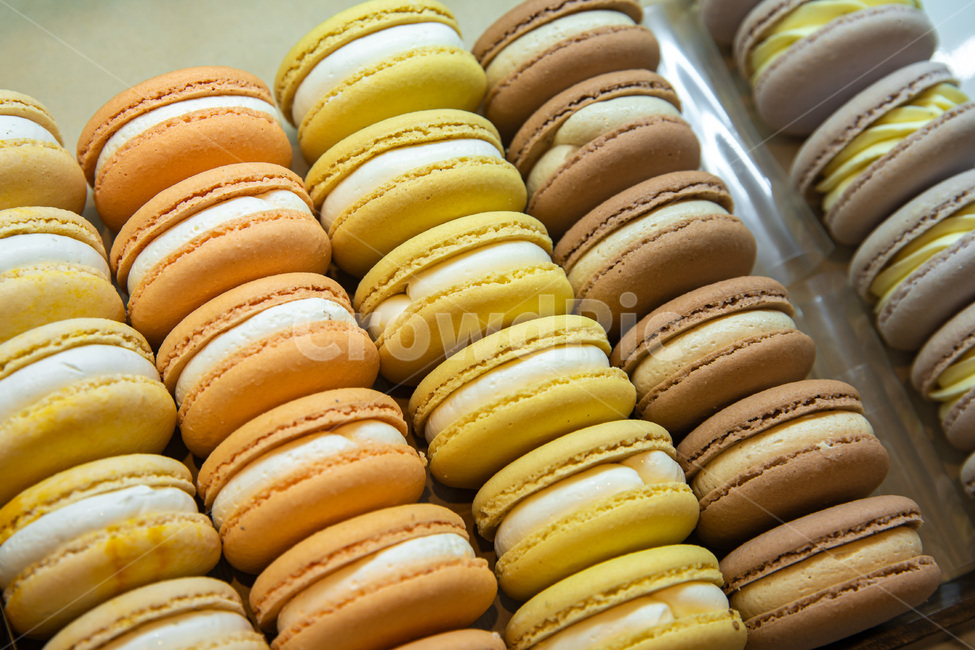 macaron,마카롱,간식,쿠키,디저트,케이크,프랑스디저트,과자,snack,color,설탕,사탕,음식,food,meal,dessert,음식,식재료,요리,food,cook,meal,dishes,food reserves,디저트,간식,후식,dessert,snack