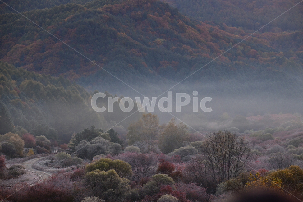 자연,풍경,가을,단풍,새벽,산,나무,가을,계절,fall,autumn,season,자연,풍경,nature,landscape,weather,날씨