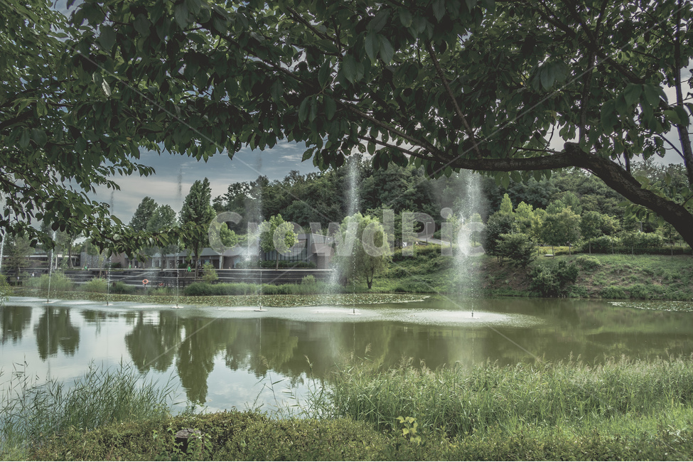 서울,서서울공원,공원,자연,분수,호수,나무,여름,seoul,park,nature,fountain,lake,tree,summer,여름,계절,summer,season,자연,풍경,nature,landscape,한국자연풍경,한국자연경관,korea nature landscape,water,물