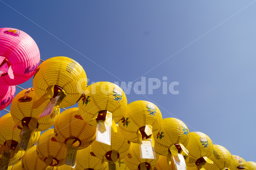 연등,팔공산,풍등,절,동화사,lotuslanttern,종교,신앙,religion,belief,faith,축제,행사,festival,carnival,event