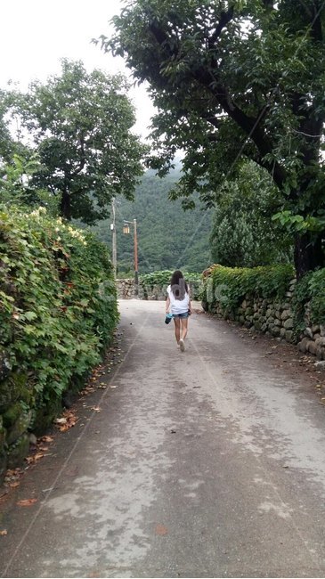 여자,뒷모습,산책,담쟁이,돌담,긴머리,걷기,덩쿨,넝쿨,나무,골목