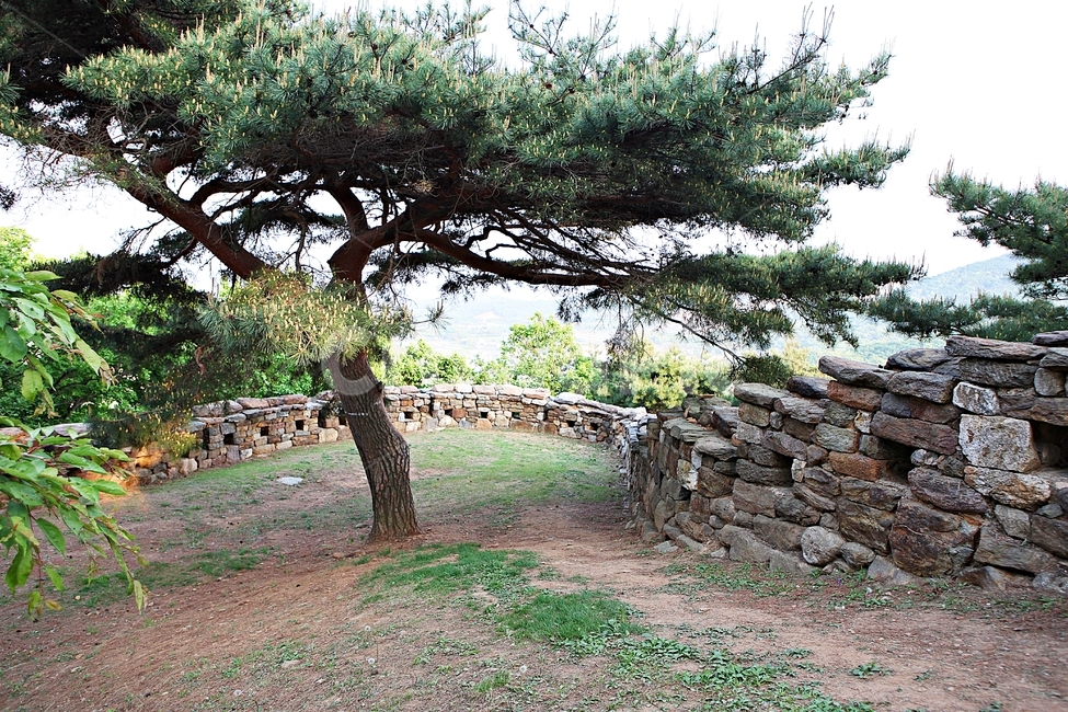 성,전등사,성곽,둘레길,돌담,풍경,배경,자연