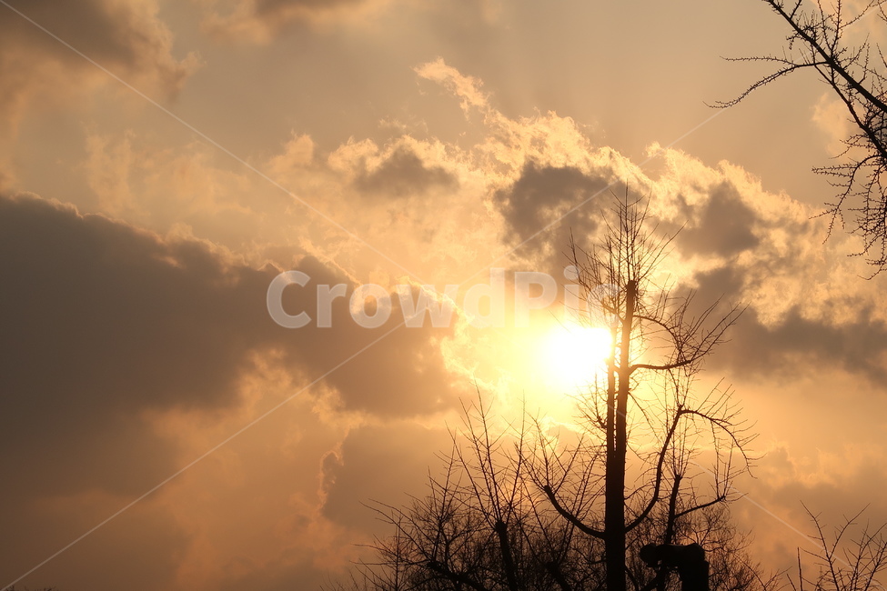 노을,sunset,선셋,light,빛,태양,햇빛,sunlight,저녁,저녁노을,저녁하늘,구름,cloud,하늘,sky