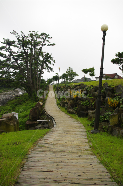 길,나무,가로등,바위,식물,제주도,jeju,jeju island,arbour,정자,outdoors,옥외,garden,정원,flagstone,판석
