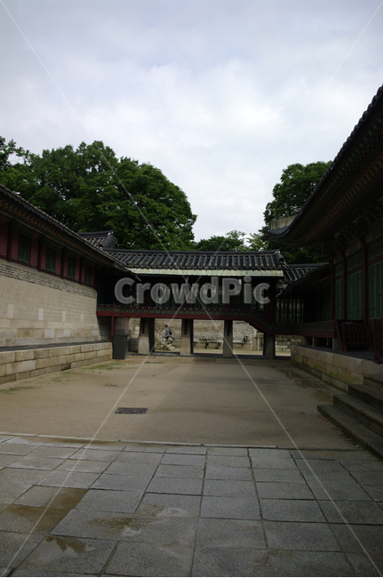 창덕궁,고궁,한옥,전통가옥,기와지붕,건축,traditional,한국전통,한국문화,korean traditional,korean culture,랜드마크,landmark,tourist attraction,한국랜드마크,한국관광지,한국명소,korea landmark,korea tourist attraction,건축물,건물외관,exterior,building,structure,architecture,construction