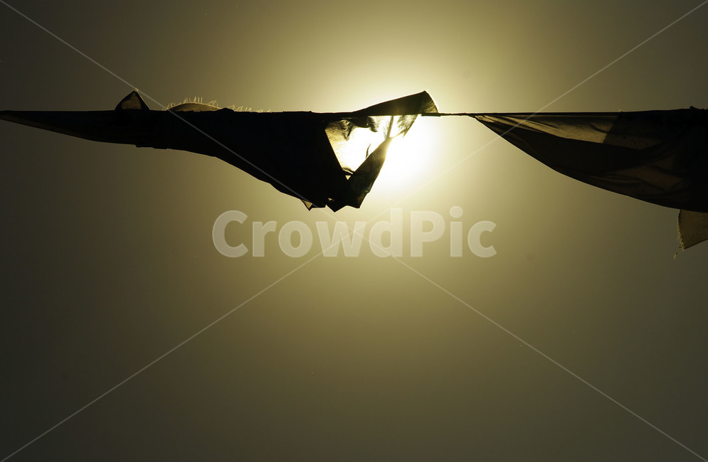 실루엣,역광,노을,해무리,silhoute,실루엣,그림자,silhouette,shadow