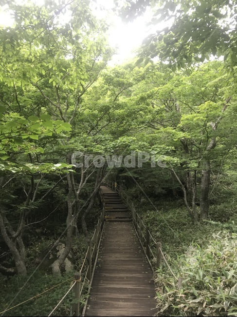 제주한라산,한라산,영실탐방로,백록담,윗세오름