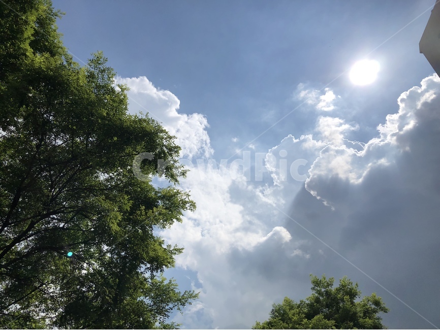 하늘,나무,풍경,sky,자연,자연,풍경,nature,landscape,outdoors,옥외