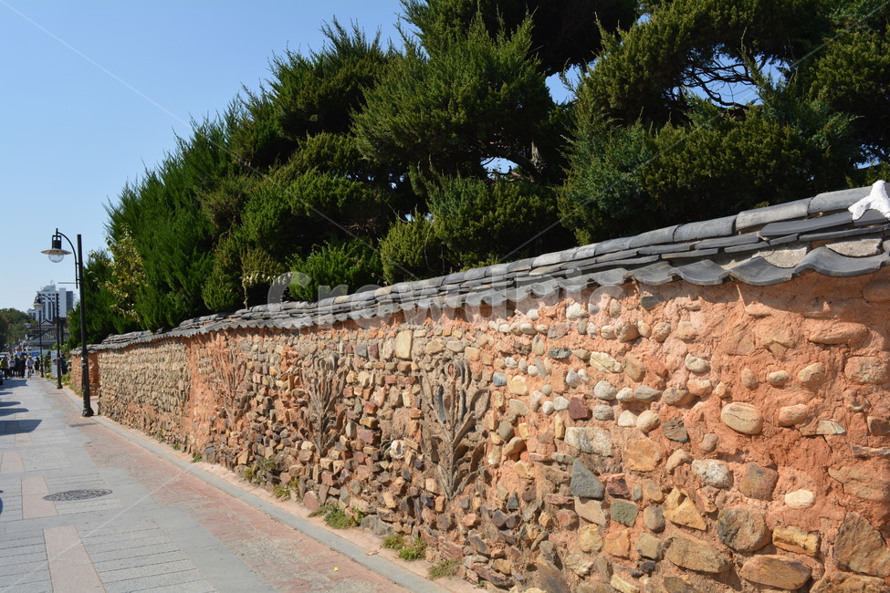 wall,벽,나무,tree,돌담길