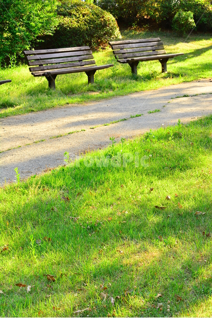벤치,의자,나무의자,쉼터,휴식,빈자리,relaxation,rest,쉼,쉬어가는곳,힐링,여유,명상,산책,bench,leisure,sit,chair,풍경,앉다,자리,편안한,공원,healing,휴식,힐링,rest,relaxation,healing