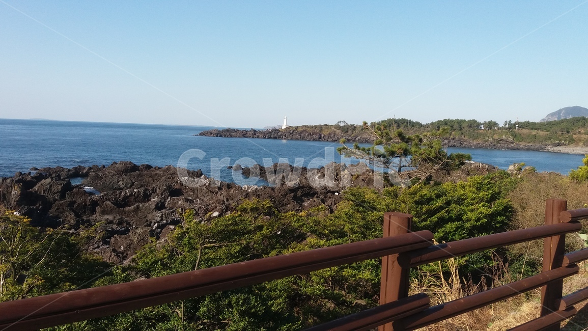 제주도,바다,하늘,여름,자연