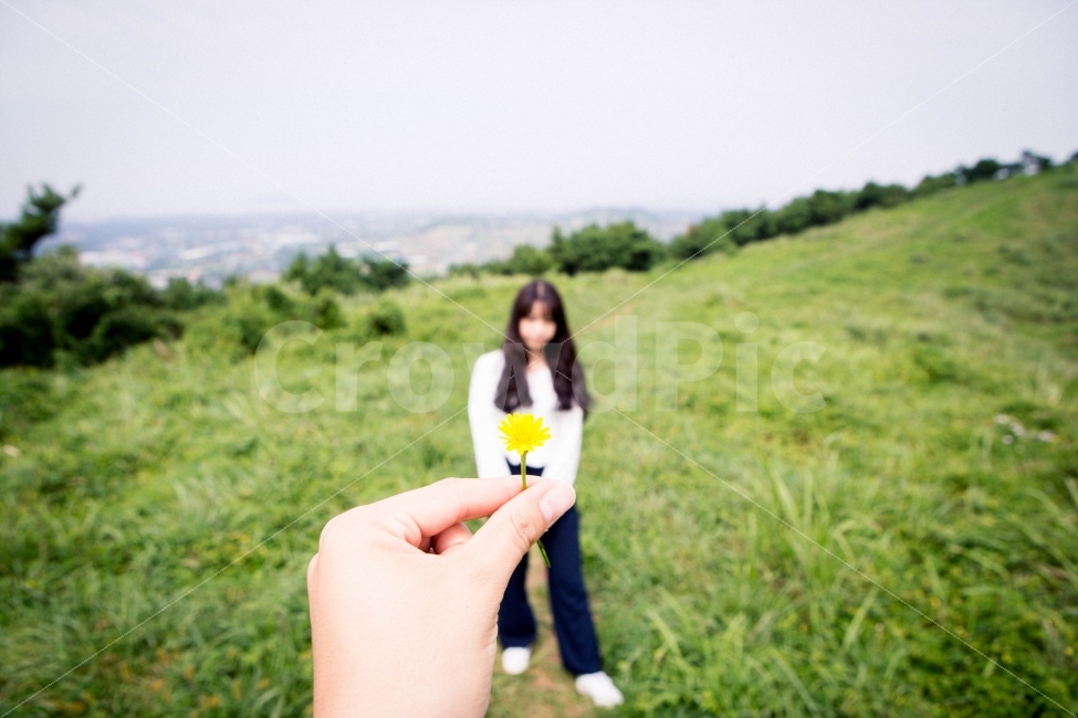 금오름,제주,제주도,오름,꽃,식물,자연,plants,nature,꽃,flower,사람,인물,인간,human,person,신체일부,몸,body,연인,커플,사랑,lover,couple