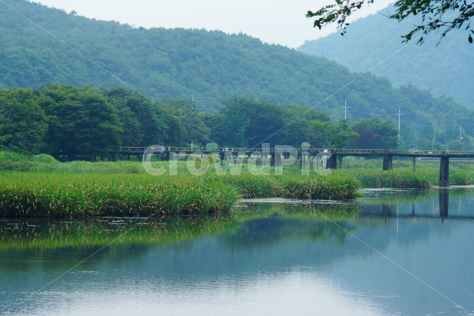 물,water,nature,자연,plant,식물,초목,tree,나무,자연,풍경,nature,landscape,outdoors,옥외