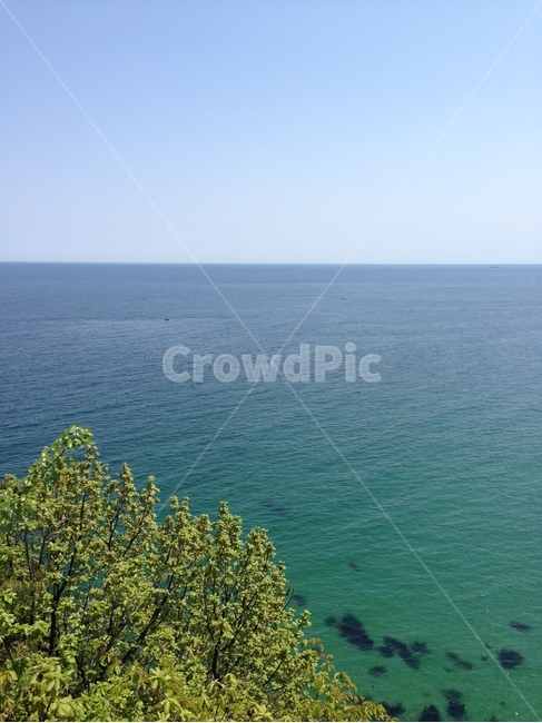 바다,동해,자연,풍경,여름,sea,eastsea,nature,landscape,scenery,summer