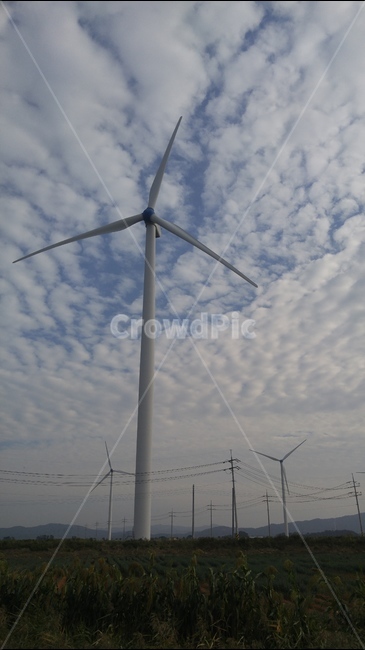 풍력,발전,에너지,바람,풍경,구름,하늘,시골,맑음,풍력발전소,wind,energy,sky,cloudy,흐림,nature,landscape풍력,풍력발전,자연,해,cloud,landscape,풍력발전기,신안,길,논,밭,자연,풍경,nature,landscape,산업,industry,industrial,에너지산업,energy industry,machine,기계,engine,엔진,motor,모터,utility pole,전신주