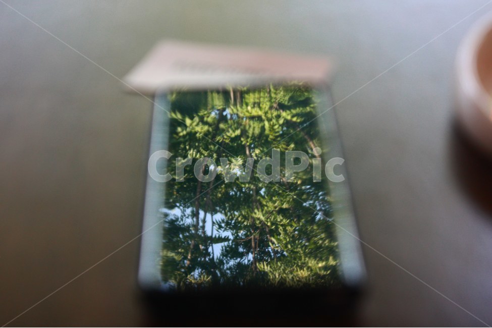 자연,나무,숲,하늘,구름,여유,휴식,green,감성,반사,빛,여름,휴식,힐링,rest,relaxation,healing