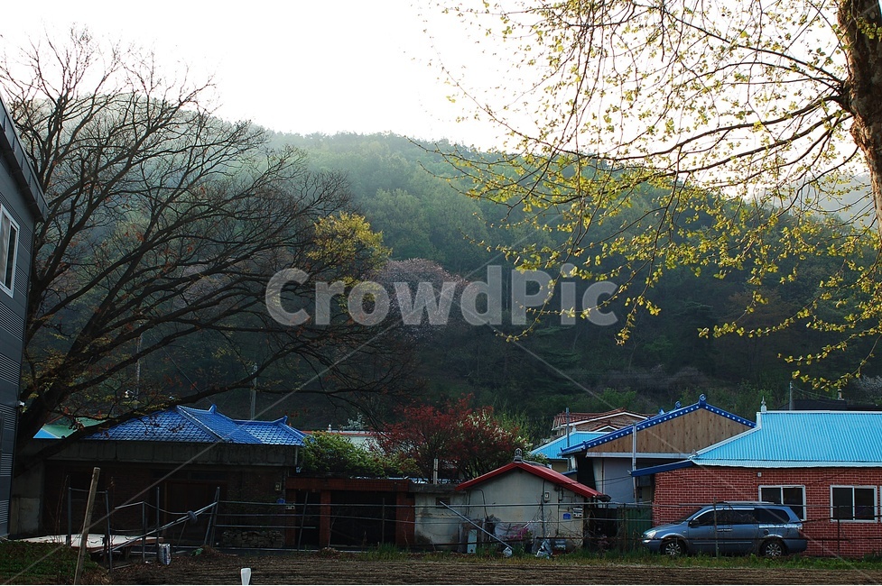 풍경,사진,마을,아침,봄,봄,계절,spring,season,시골,마을,풍경,landscape,country,rural,town,nature,자연,outdoors,옥외,building,건물,농촌,hut,오두막