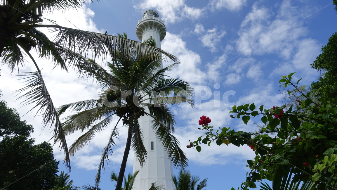뉴칼레도니아,야자수,장미,하늘,blue,sky,아메데,등대,lighthouse,summer,여름,휴가,vacation,휴양지,태평양,남태평양