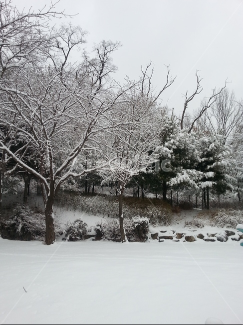 nature,자연,outdoors,옥외,ice,빙,snow,눈