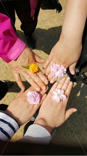 꽃,반지,함께,손,봄,핑크,노랑,yellow,pink,손가락,여자,사람,finger,human