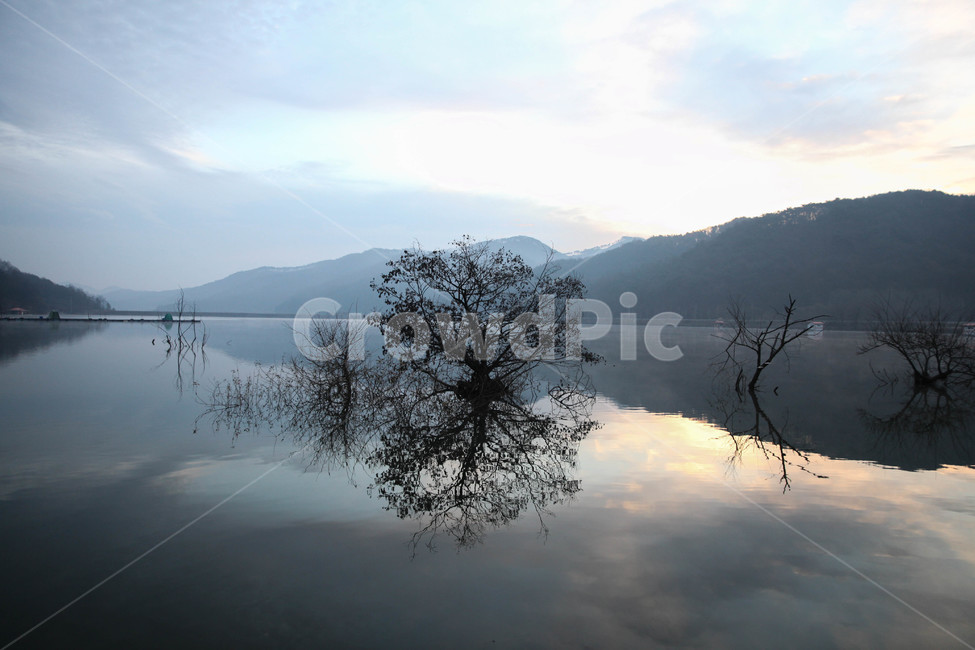 저수지,괴산,문광저수지,나무,낚시터,새벽,안개,자연,풍경,nature,landscape