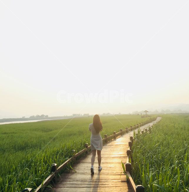 여자,뒷모습,노을,자연,감성,힐링,인물,사람,길,healing,female,석양,여행,한국자연풍경,인물사진,여자사진,자연풍경,여성,여자,woman,female,lady,여행,휴가,traveling,vacation,trip