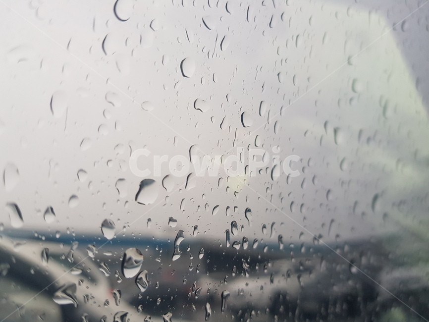 빗방울,비오는날,비,맺힌물방울,물방울,비,비오는날,rain,rainy