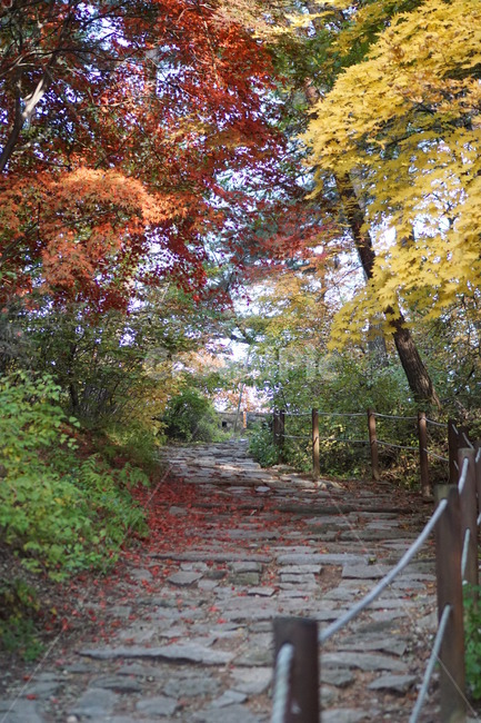 가을풍경,단풍,남한산성,낙엽,가을산,가을,계절,fall,autumn,season,자연,풍경,nature,landscape,tree,나무,plant,식물,flagstone,판석