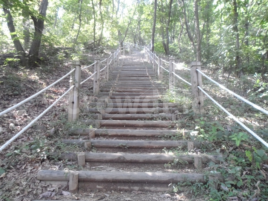 길,고요,침묵,산책,숲,자연,풍경,nature,landscape,staircase,계단,handrail,난간,banister