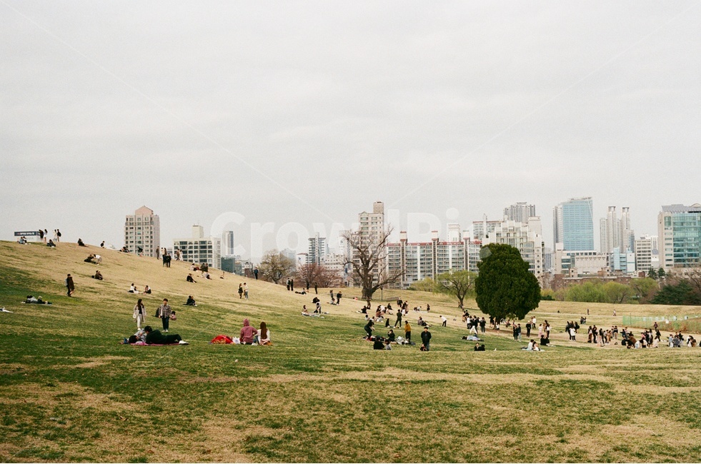 올림픽공원,봄,소풍,picnic,olympicpark,나홀로나무,언덕,hill,tree,나무,초록,잔디,green,grass,봄소풍,산책,park,공원,spring,필름사진,filmphotography,film,alonetree,한국,korea,seoul,서울,봄,계절,spring,season,도시,풍경,city,landscape,한국도시풍경,한국도시경관,korea cityscape,사람들,대중,군중,other people,crowd,plant,식물