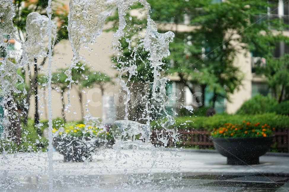 분수,물,물줄기,여름,계절,water,순간,순간포착,더위,summer,여름,계절,summer,season,fountain