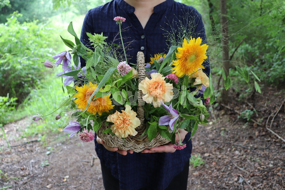 plant,식물,person,사람,human,인간,꽃바구니,flower,flowerbasket,여름,봄,자연,싱그러운,플로리스트,꽃,blossom