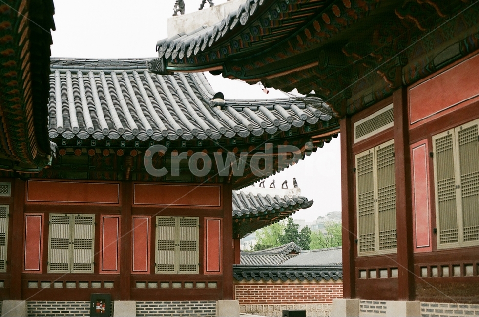 Gyeongbokgung,Palace,Hanok,tradition,tiled house