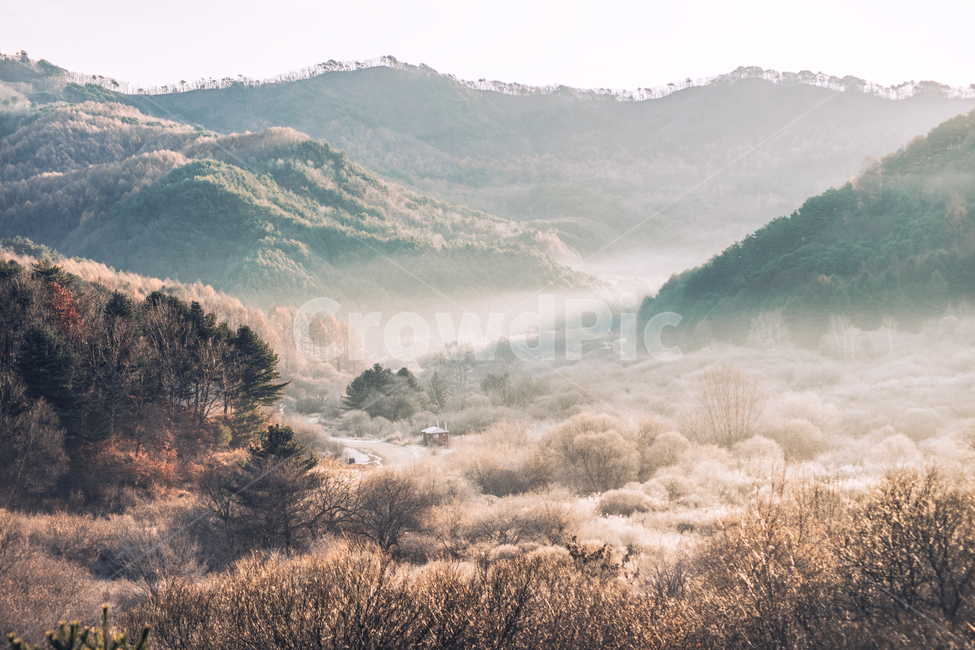 countryside,hill,대관령,삼양목장,풍경,강원도,흐린날,nature,자연,outdoors,감성,빛,자연,풍경,nature,landscape,한국자연풍경,한국자연경관,korea nature landscape
