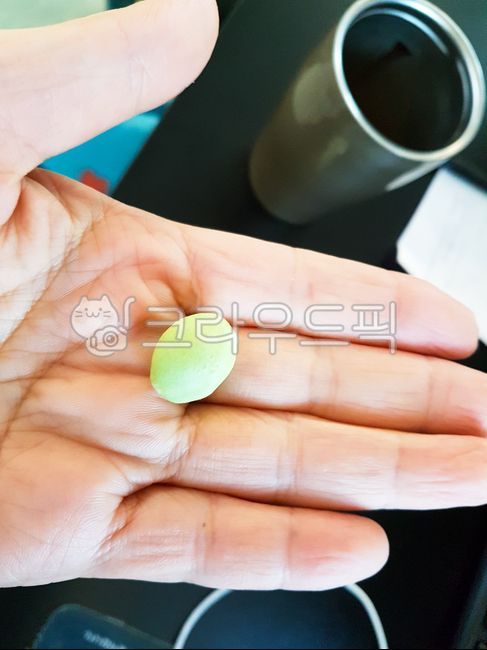 먹을것,먹는것,식품,음식,과자,캔디,사탕