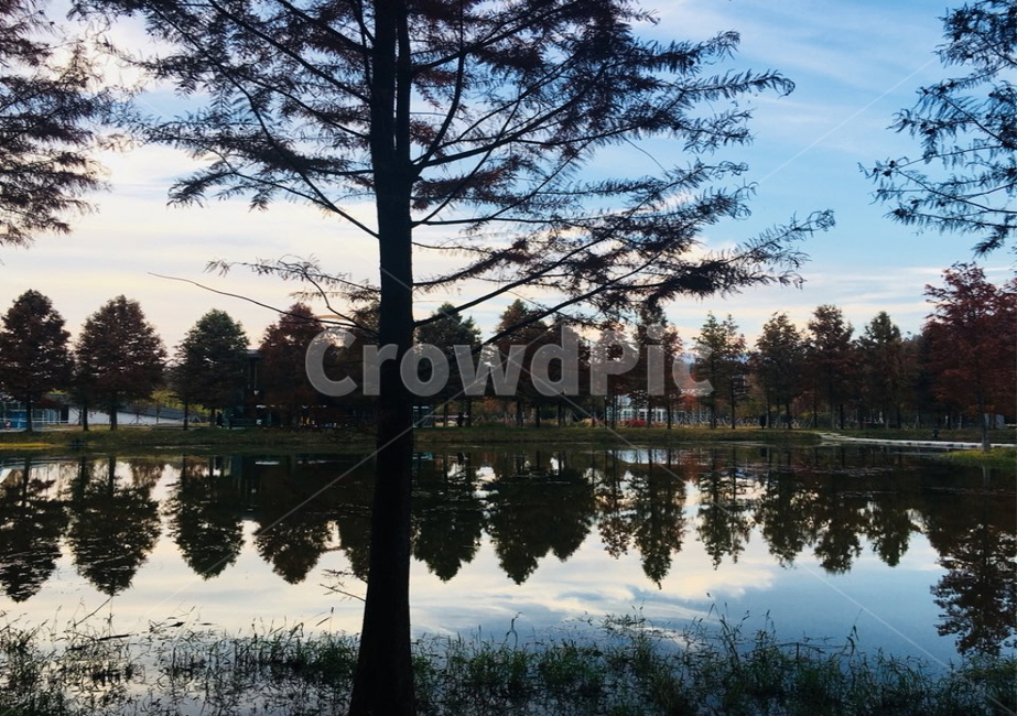 하늘,풍경,강,나무,감성,sky,scenery,river,tree,emotional,자연,풍경,nature,landscape,land,땅,outdoors,옥외,water,물,plant,식물