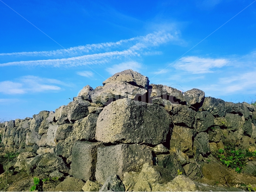 하늘,구름,밭,꽃,자연,파란색,하나,꼭짓점,돌담,돌,제주도,제주,담,제주도,jeju,jeju island,건축물,건물외관,exterior,building,structure,architecture,construction