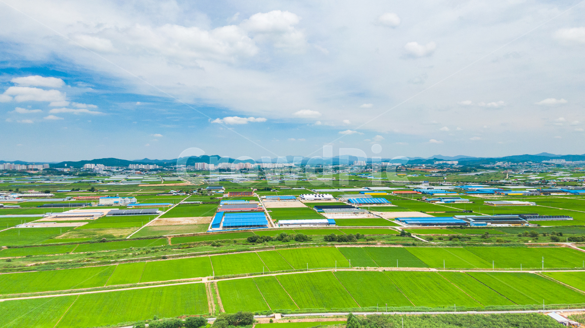 하늘,sky,논,green,blue,구름,cloud,드론사진,드론샷,시골,마을,풍경,landscape,country,rural,town