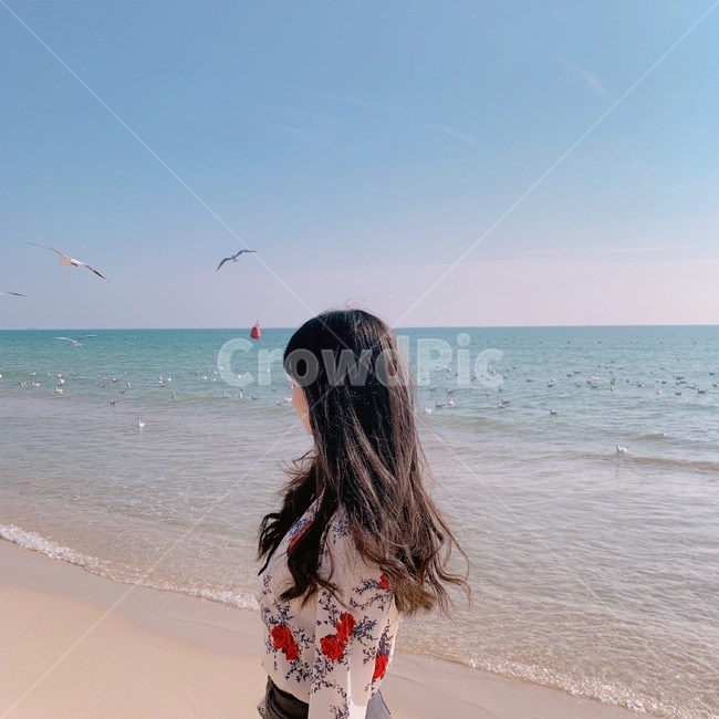 해운대,뒷모습,여자,바다,여행,사람,인물,인간,human,person,여성,여자,woman,female,lady