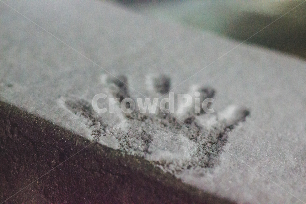 손바닥,눈,자국,손자국,snow,겨울,계절,winter,season