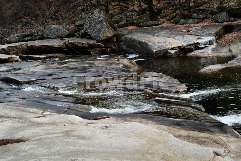 자연,풍경,계곡,화양구곡,충북,자연,풍경,nature,landscape,outdoors,옥외,wood,나무,water,물