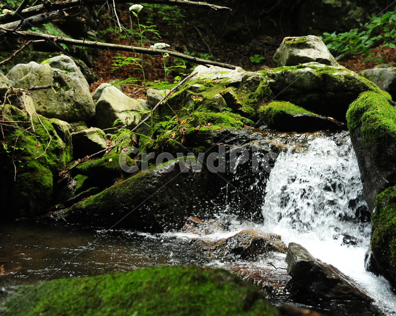 water,물,nature,자연,river,강,옥외,outdoors,산,등산,자연,풍경,nature,landscape