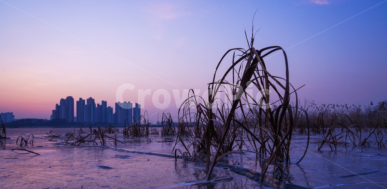 호수,여명,새벽,건물,얼음판,빙판,얼음,겨울,계절,감성,풍경,겨울,계절,winter,season,식물,자연,plants,nature