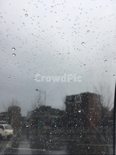 비,유리창,빗방울,감성,빗물,창밖,차창,날씨,rain,rainy,window,비,비오는날,rain,rainy